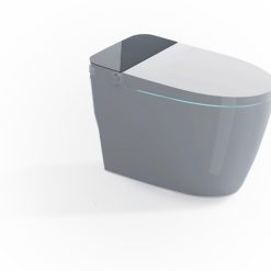 Bồn cầu thông minh OMELEX OCE82308T