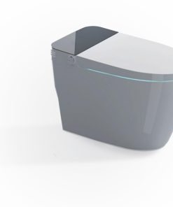 Bồn cầu thông minh OMELEX OCE82308T