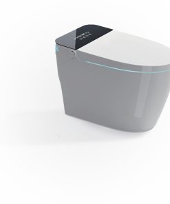 Bồn cầu thông minh OMELEX OCE82308TFS